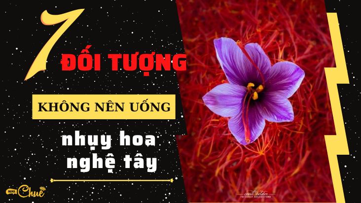 không nên uống nhụy hoa nghệ tây