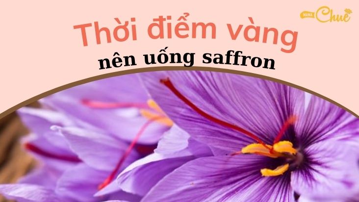 thoi diem vang uong saffron 1