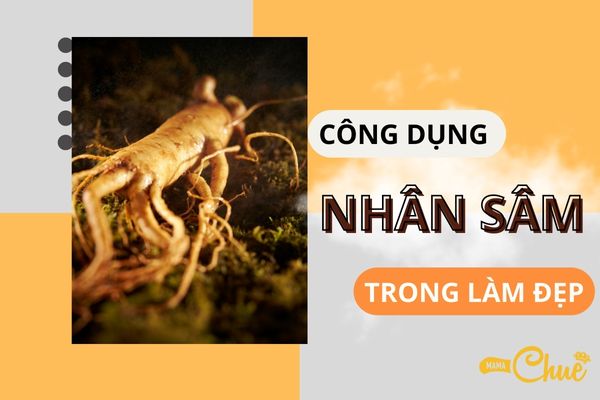 cong dung cua nhan sam