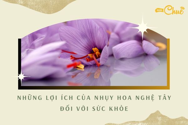 loi ich cua nhuy hoa nghe tay