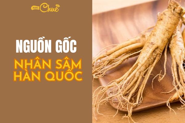 nhan sam han quoc