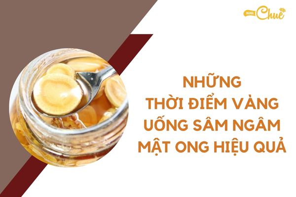 thoi diem vang uong sam ngam mat ong