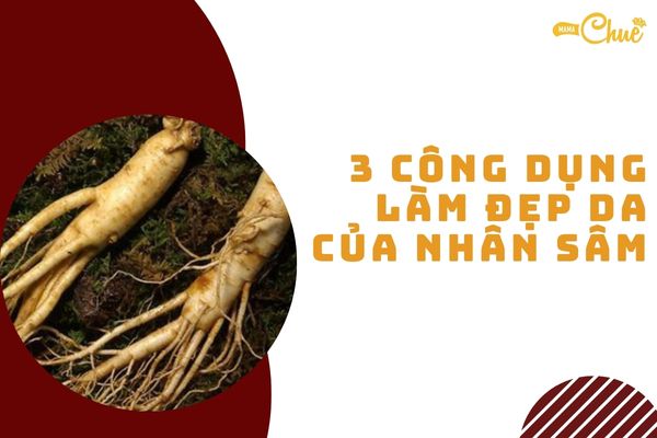 cong dung lam dep da cua nhan sam