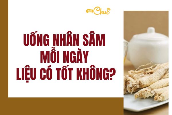 uong nhan sam moi ngay co tot khong