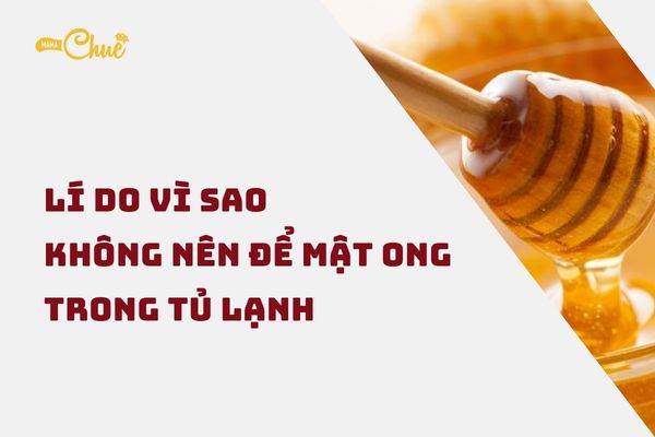 vi sao khong nen de mat ong trong tu lanh 2