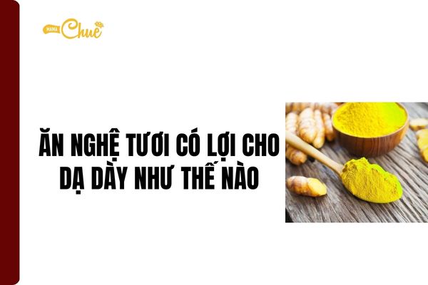 an nghe tuoi co loi cho da day