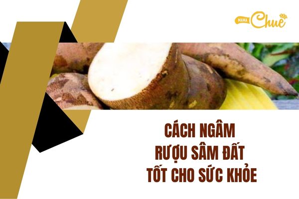 cach ngam ruou sam dat